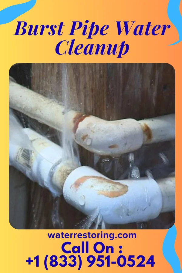 Burst Pipe Water Cleanup in Augusta, KY