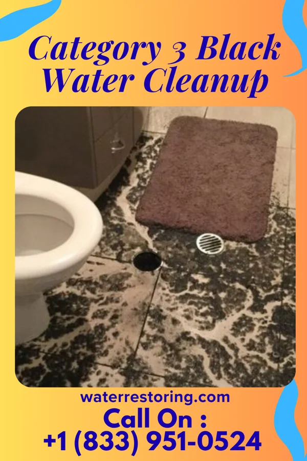 Category 3 Black Water Cleanup in Augusta, KY