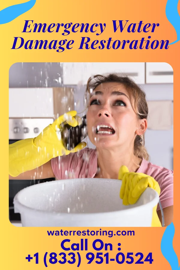 Emergency Water Damage Restoration in Augusta, KY