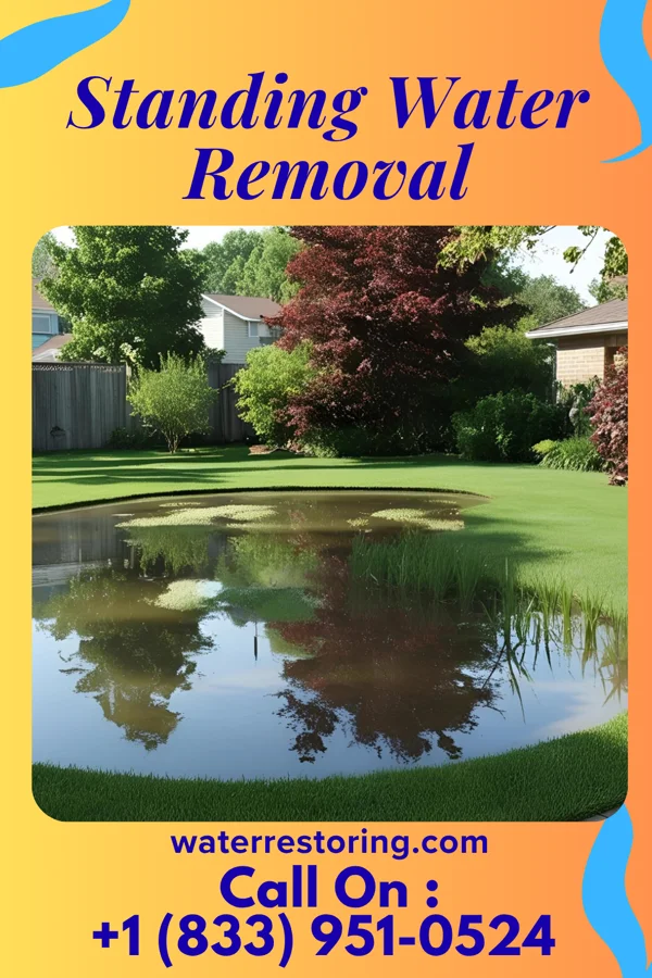 Standing Water Removal in Augusta, KY